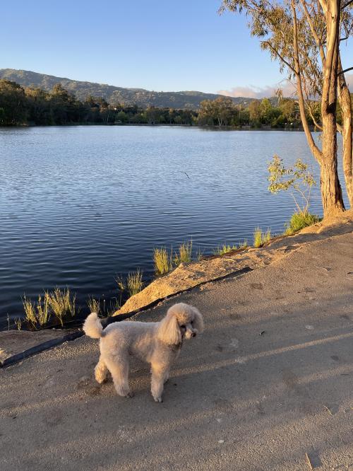 10BA0B5A-6BC7-4E24-8970-CA1A576A4B63