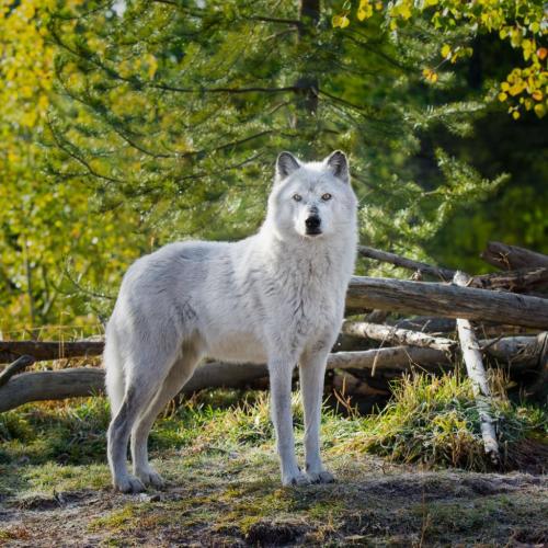 192437962_330187878675245_765673371386738726_n