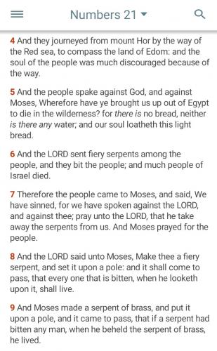 Screenshot_20210630-083106_KJVA Bible
