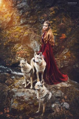 8da8147bb00fb12826a93d92b6cd564e