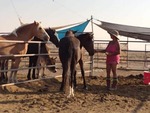 received_317736039989548