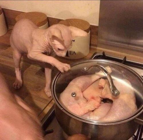 15:54:54 GMT-0500 (CDT)