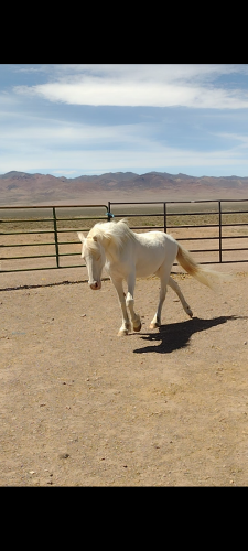 Screenshot_20210613-205351