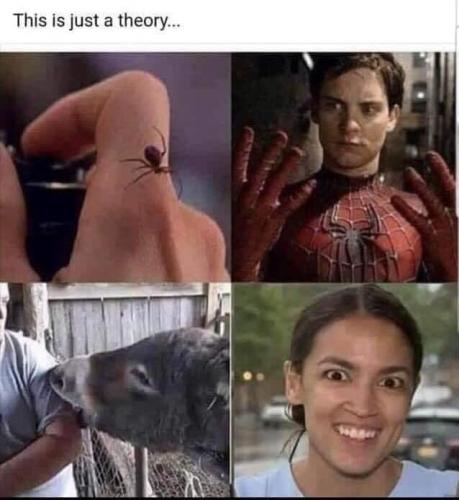 3FF1E435-A30A-4044-8979-115C0278F09A