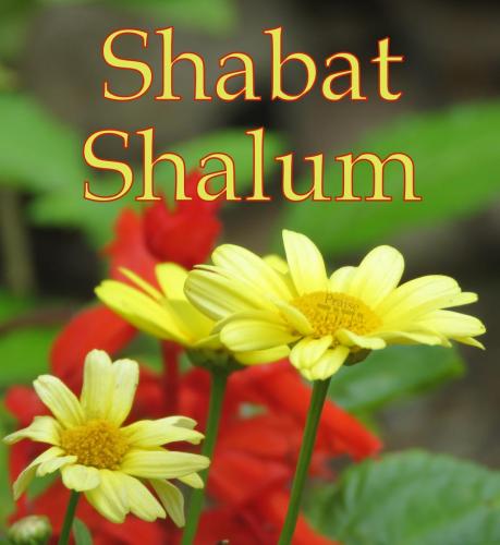 Zposted 6 18 21 IMG_1012