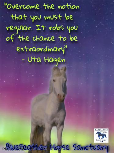 PicsArt_06-01-10.41.46