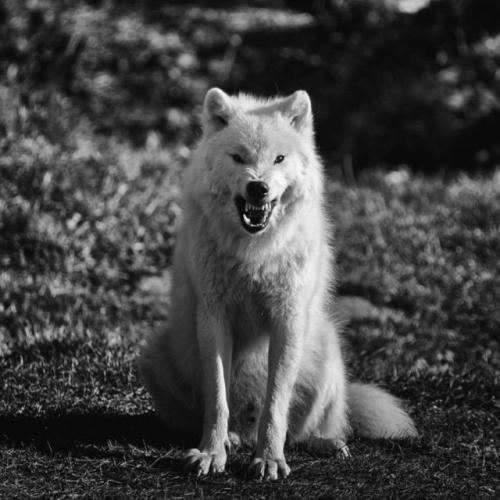 91586435_10212933362888994_7395038591052677120_n