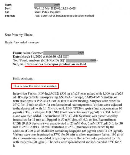 photo_2021-06-01_23-16-18