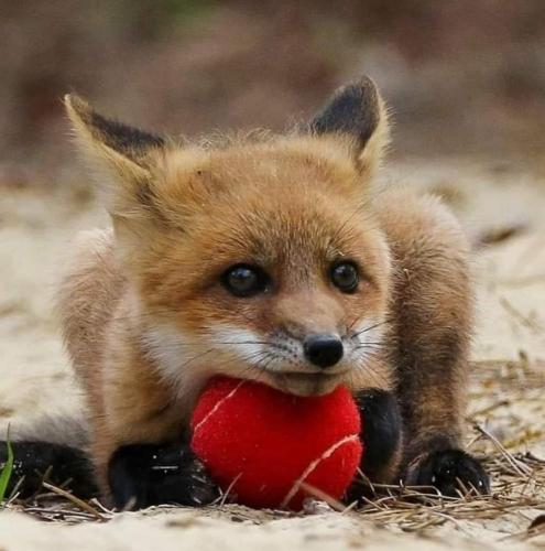 15:35:18 GMT-0500 (CDT)