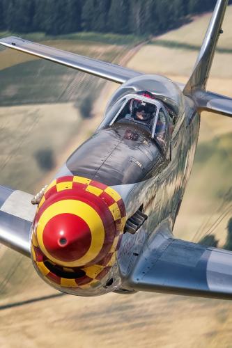 207102363_354599646016415_5747014838062033783_n