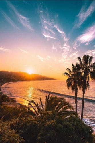 Screenshot_20210616-235624_Gallery