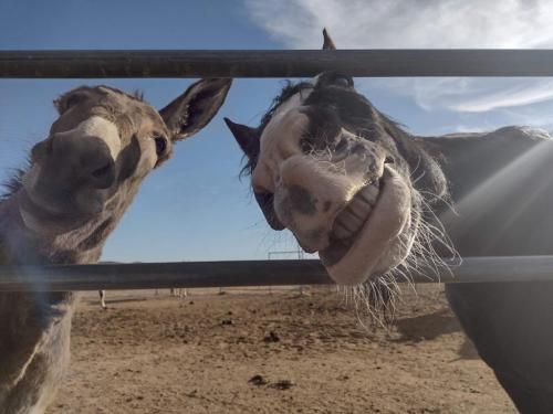 received_1196486564155534