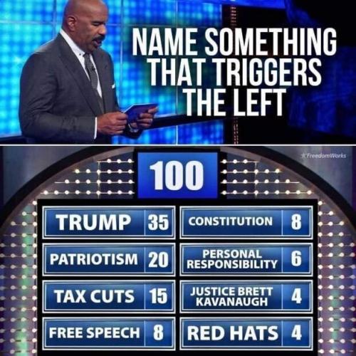 NAME SOMETHING THAT TRIGGERS THE LEFT