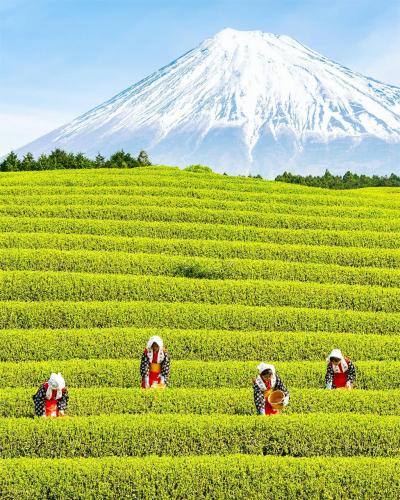 196824700_3819493564827239_3611279249466074454_n