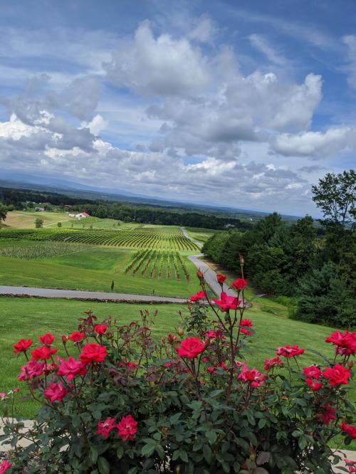 23:00:45 GMT-0400 (EDT)