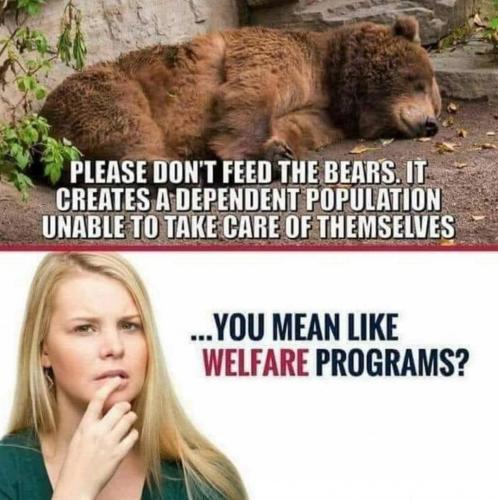 Don't Feed The Bears