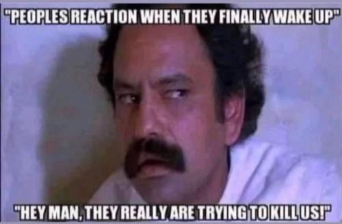 photo_2021-06-30_00-58-53