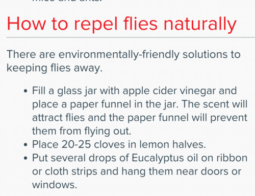 Screenshot_20210630-095229_(1)