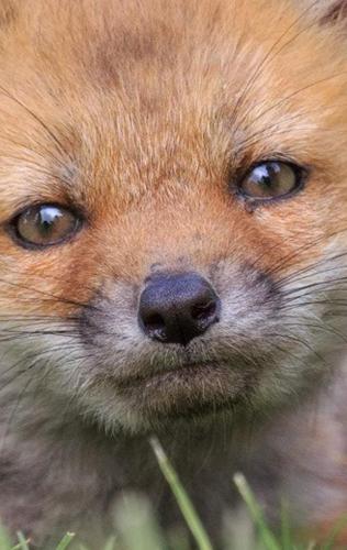 20:43:11 GMT-0500 (CDT)