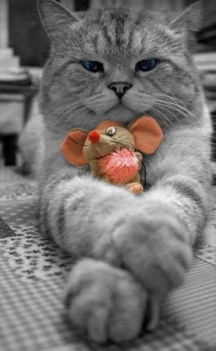 FB_IMG_1625012231221