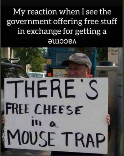 193540274_4051655598256903_1654044048743427265_n