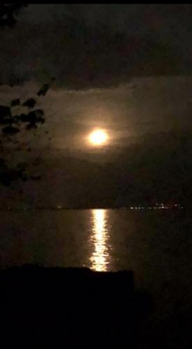 22:59:54 GMT-0400 (EDT).image