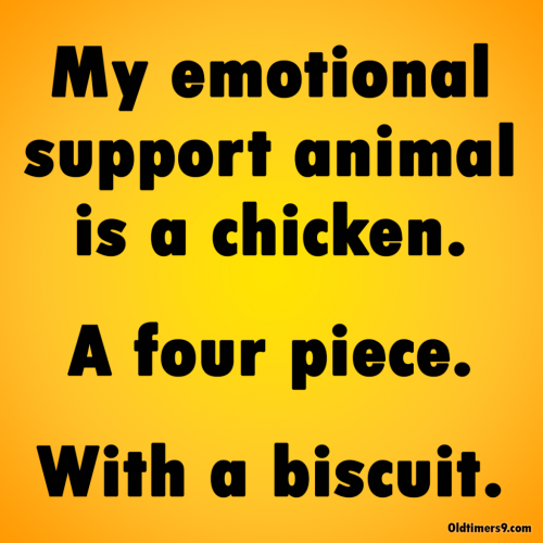 207495948_1575810469430200_7424775247997376950_n