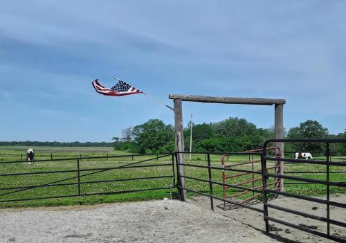 19:11:52 GMT-0500 (CDT)