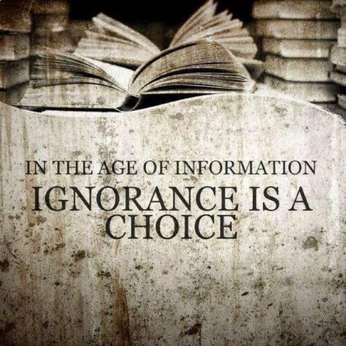 In the age of information