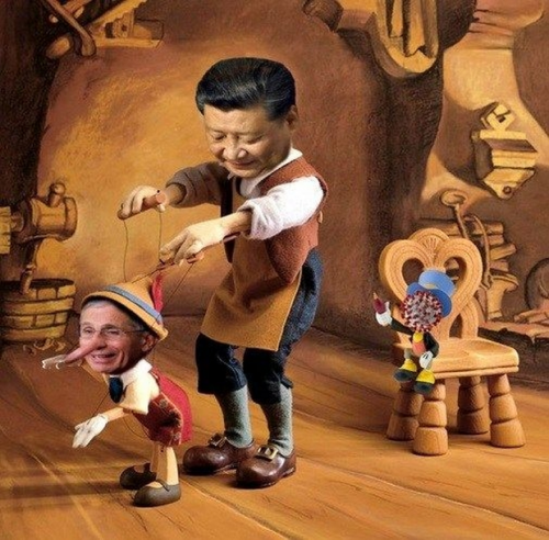 dr-fauci-xi-jinping-china-puppet-covid-coronavirus-pinochio