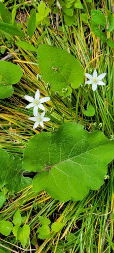 13:46:35 GMT-0500 (CDT)