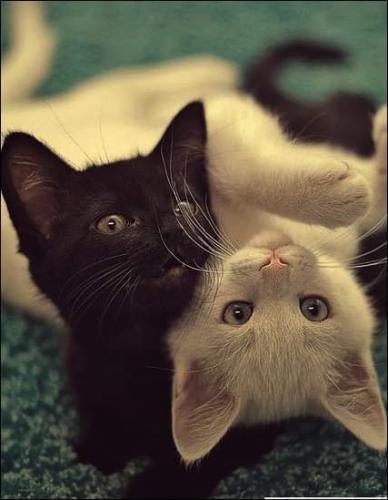 06:27:28 GMT-0500 (CDT)