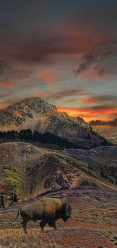 tumblr_9d3f3df63ee34c0e52de73c6818d3772_68fa882d_1280