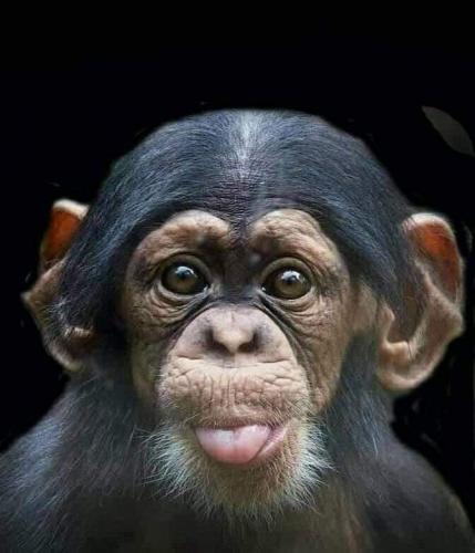 FB_IMG_1624108606811