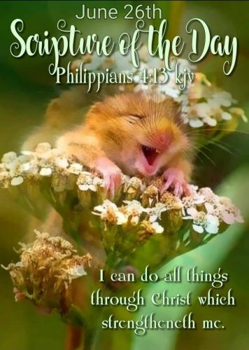 Screenshot_20210626-063938_Gallery