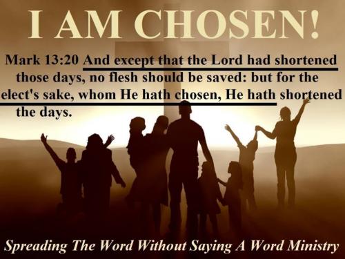 10547934_775252859240514_3661344855451365363_o