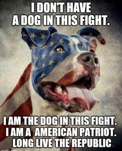 21:14:13 GMT-0400 (EDT).image