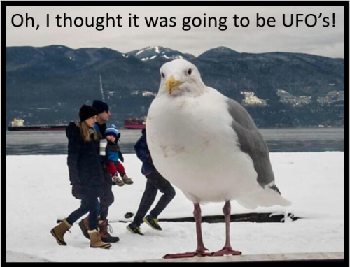 UFO's