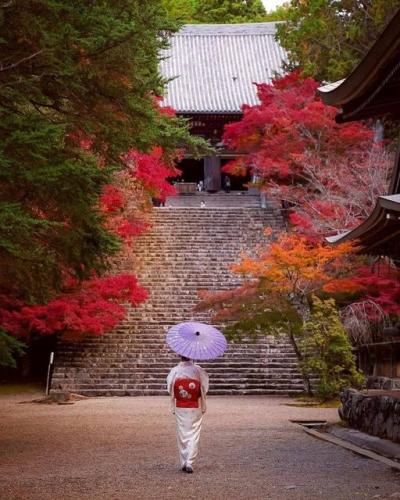 196797173_336691754493500_6063401264458987402_n