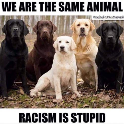 FB_IMG_1624296531080