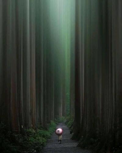 192423813_950180692474886_356954324362953235_n