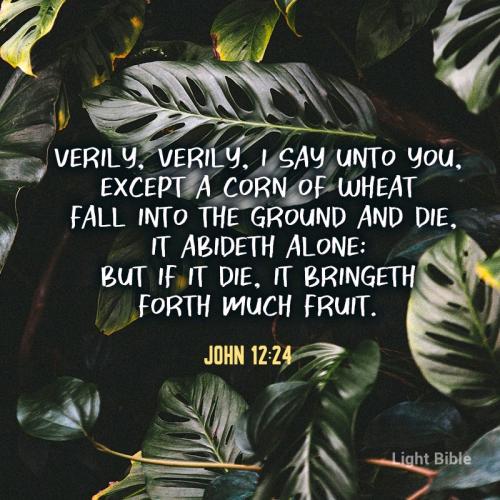 07:24:21 GMT-0400 (EDT).*