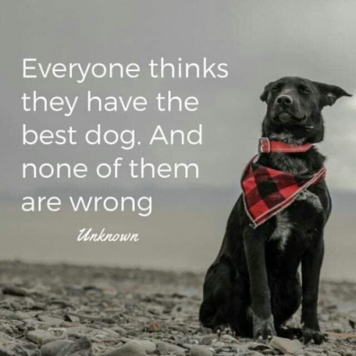 tumblr_b0bc9852da3c4a97f4b0cdf31b77eda0_3588fa3a_540