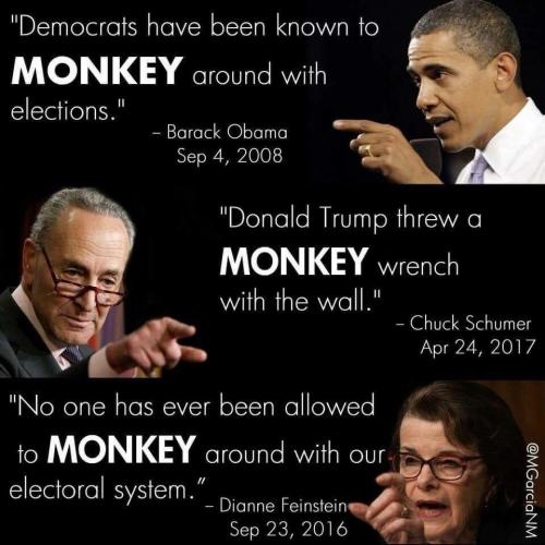 monkey around ape comparison racist dems schumer feinstein obama monkey ape ape shit