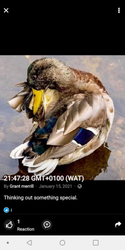 Screenshot_20210616-112657