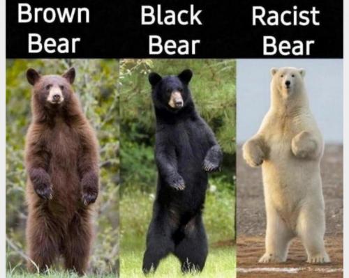 09:36:51 GMT-0400 (EDT).image