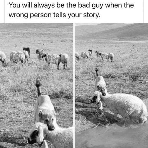 10:53:08 GMT-0500 (CDT).image