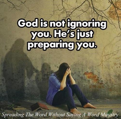 201604339_2895690864080288_145124469453506296_n