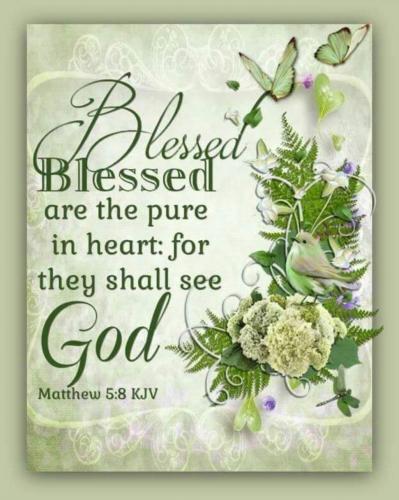 Screenshot_20210617-204217_Gallery