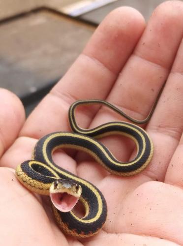 FB_IMG_1624411723699